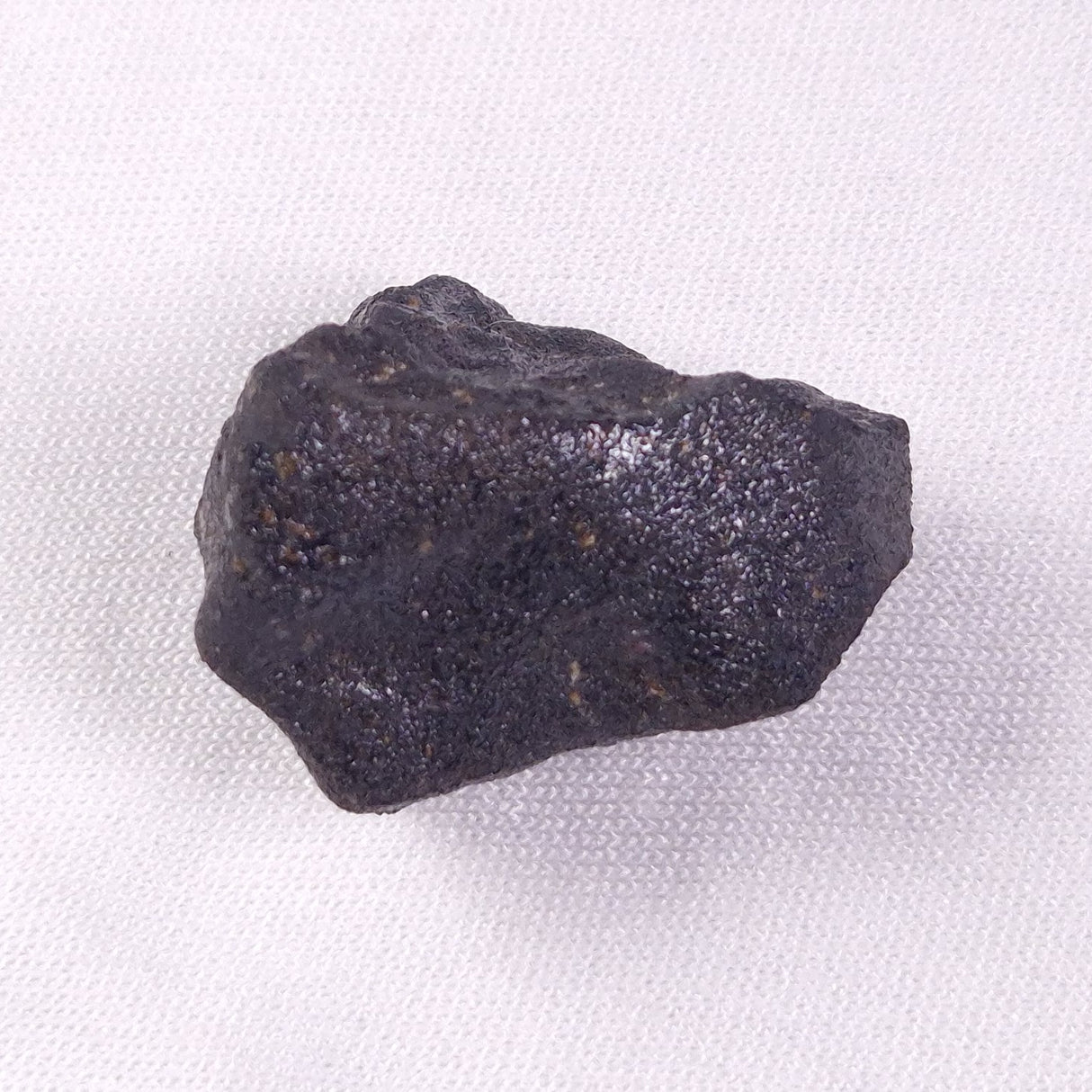 METEORITE CAMEL DONGA, Australia YCD009