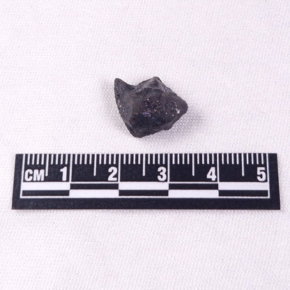 METEORITE CAMEL DONGA, Australia YCD010