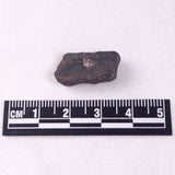 METEORITE CAMEL DONGA, Australia YCD011