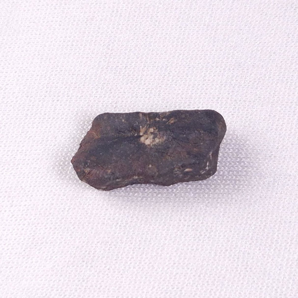 METEORITE CAMEL DONGA, Australia YCD011
