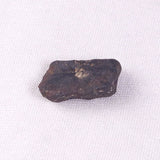 METEORITE CAMEL DONGA, Australia YCD011