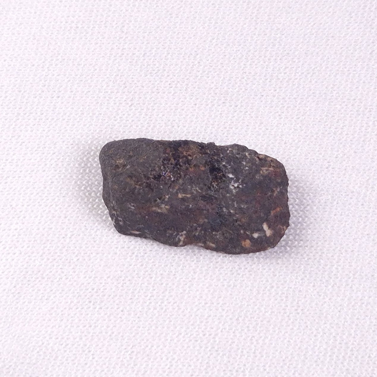 METEORITE CAMEL DONGA, Australia YCD011