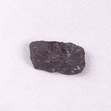 METEORITE CAMEL DONGA, Australia YCD011