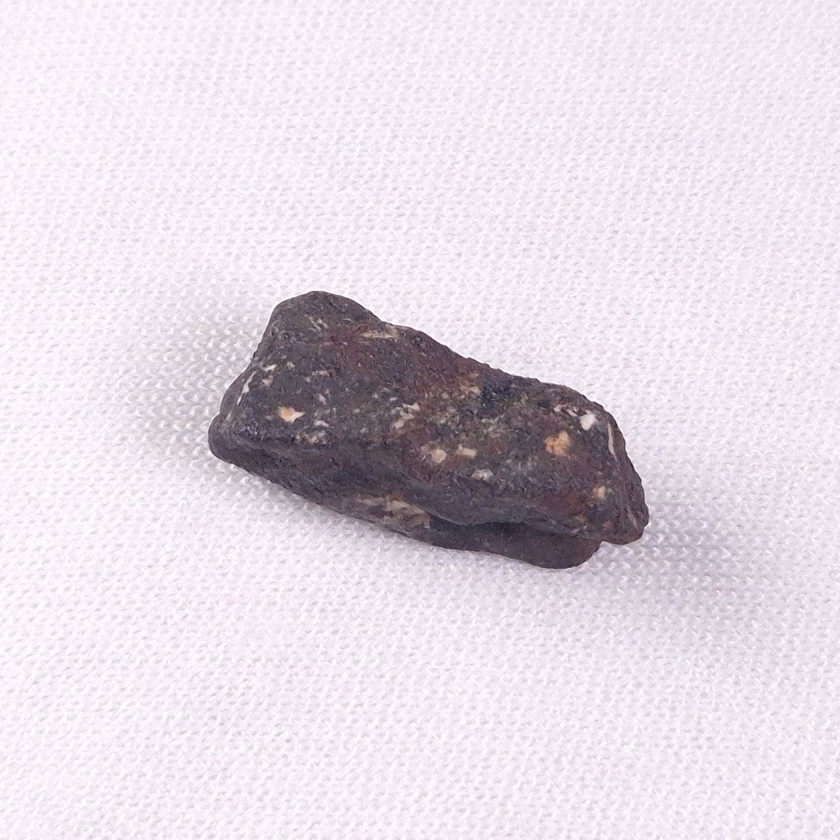 METEORITE CAMEL DONGA, Australia YCD011
