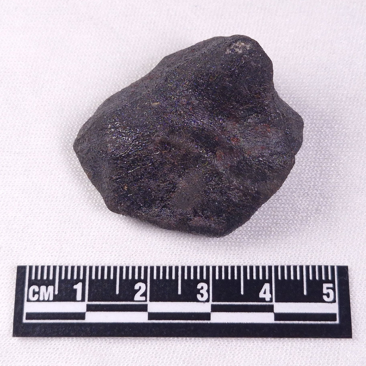 METEORITE CAMEL DONGA, Australia YCD012