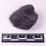 METEORITE CAMEL DONGA, Australia YCD012