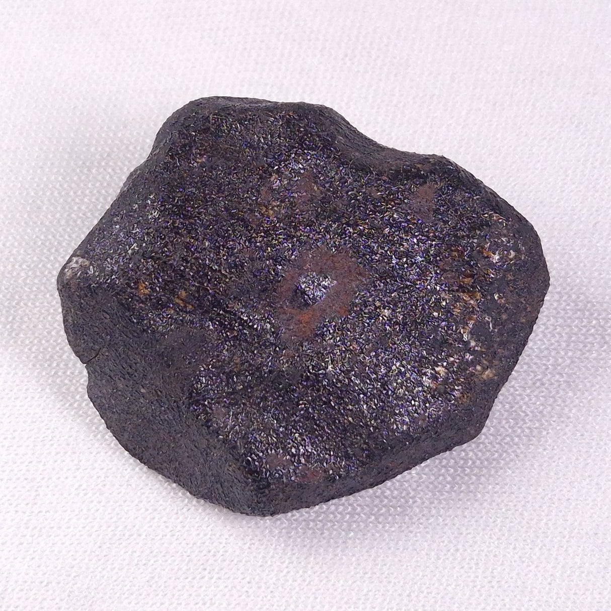 METEORITE CAMEL DONGA, Australia YCD012