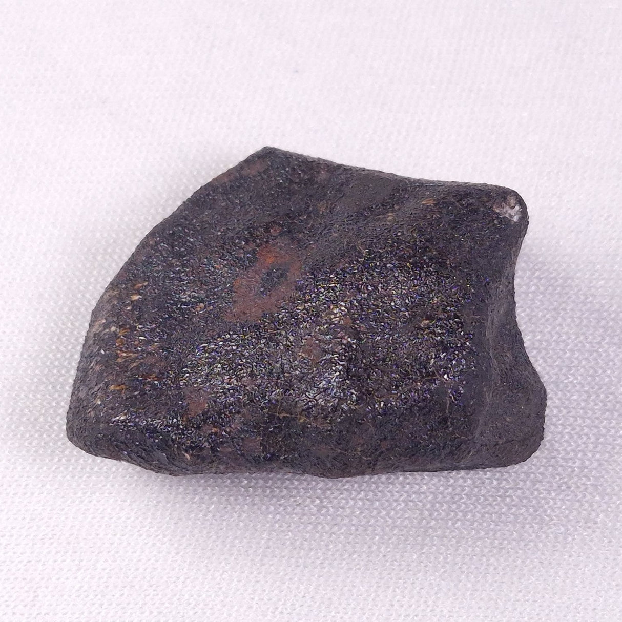 METEORITE CAMEL DONGA, Australia YCD012