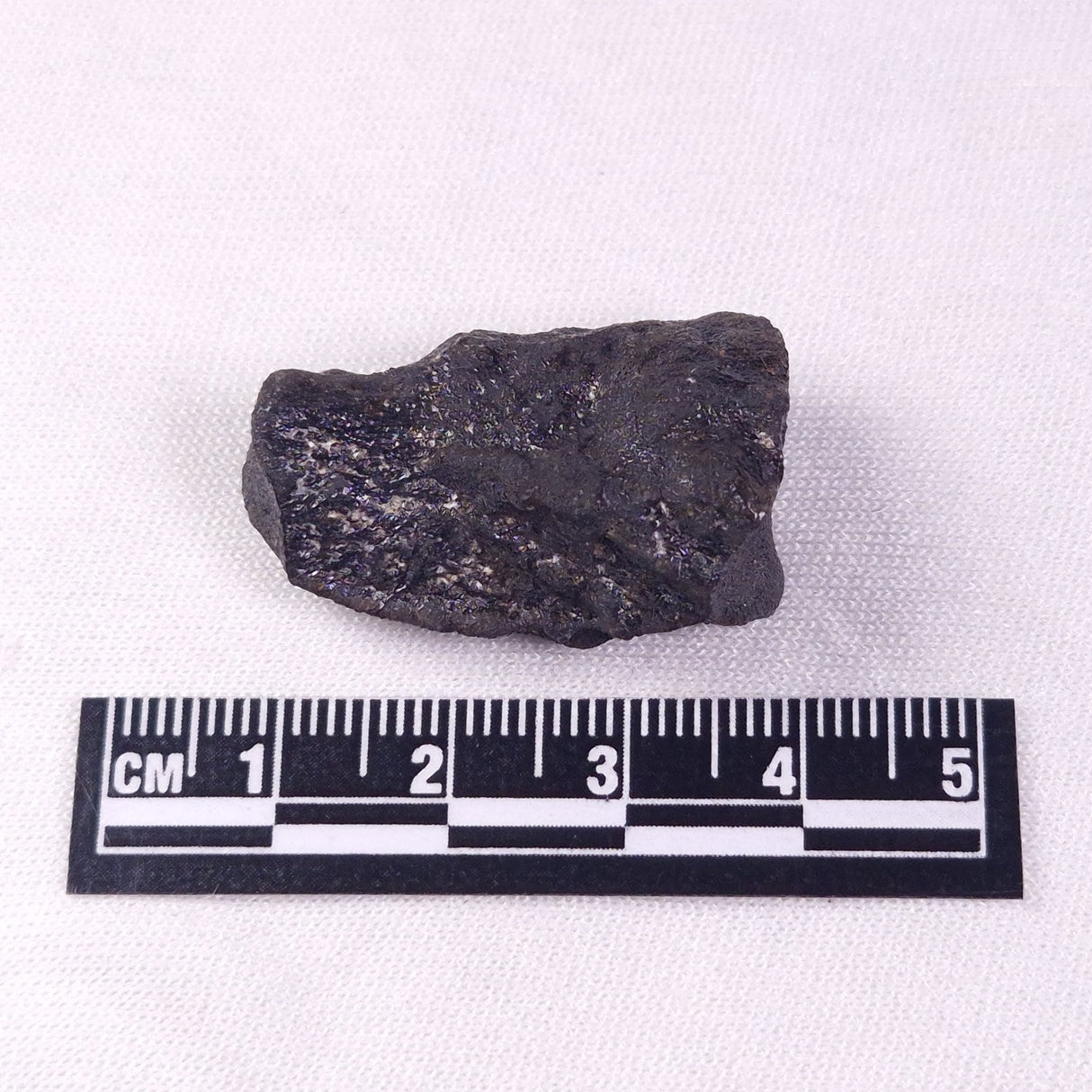 METEORITE CAMEL DONGA, Australia YCD013