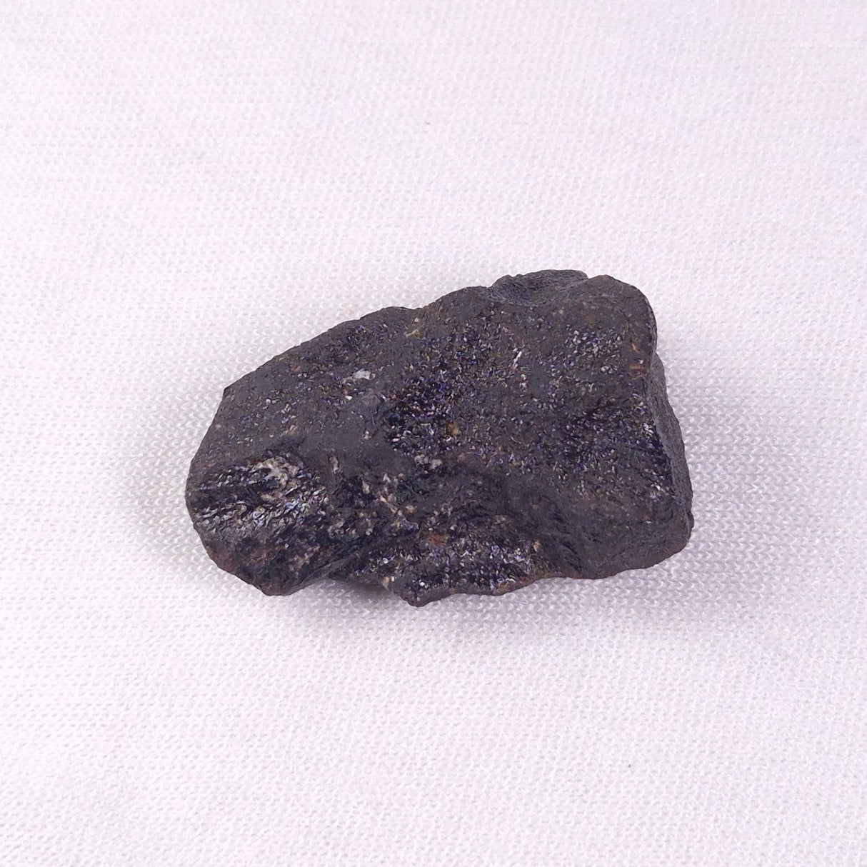 METEORITE CAMEL DONGA, Australia YCD013