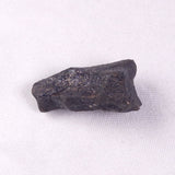 METEORITE CAMEL DONGA, Australia YCD013
