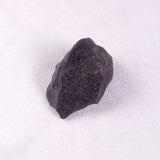 METEORITE CAMEL DONGA, Australia YCD014