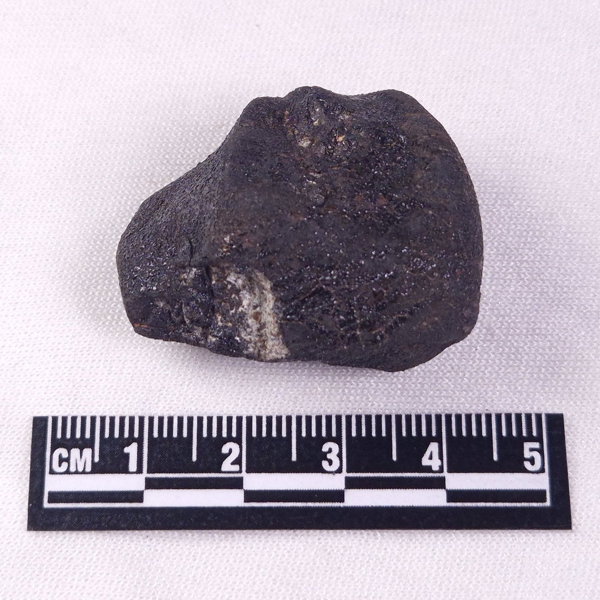 METEORITE CAMEL DONGA, Australia YCD015