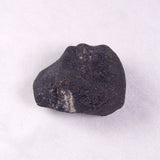 METEORITE CAMEL DONGA, Australia YCD015