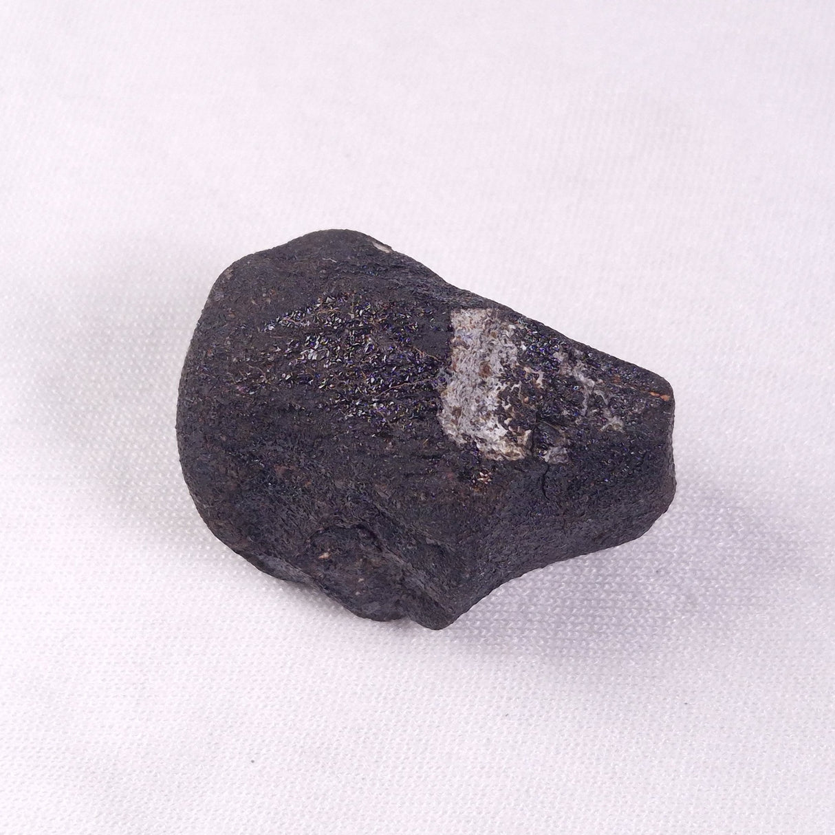 METEORITE CAMEL DONGA, Australia YCD015