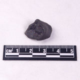 METEORITE CAMEL DONGA, Australia YCD016