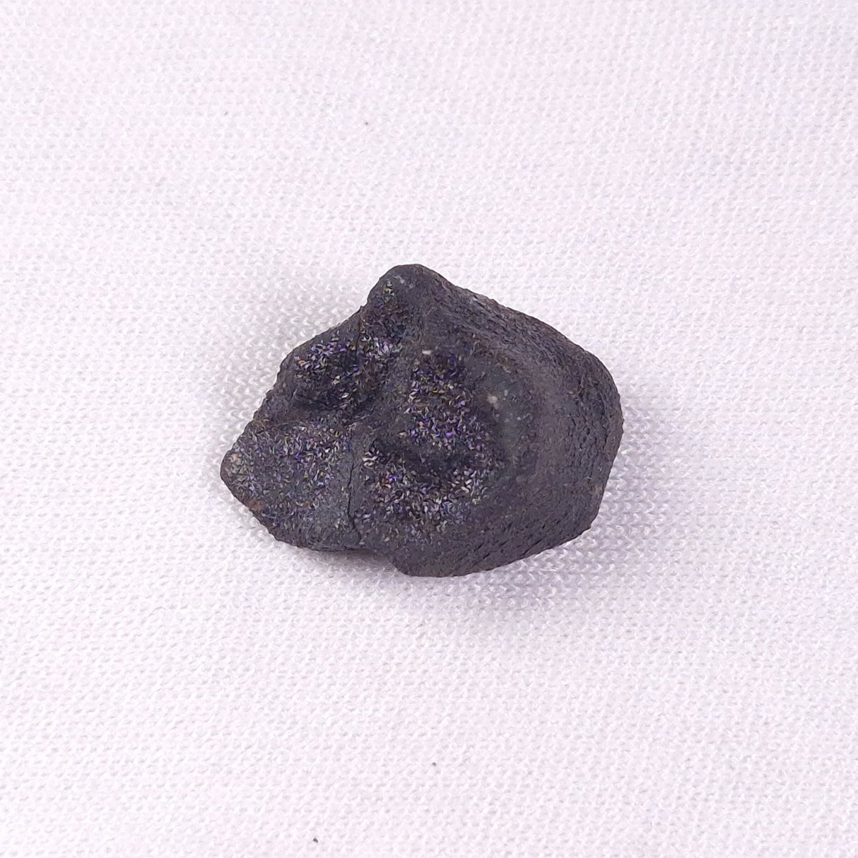METEORITE CAMEL DONGA, Australia YCD016