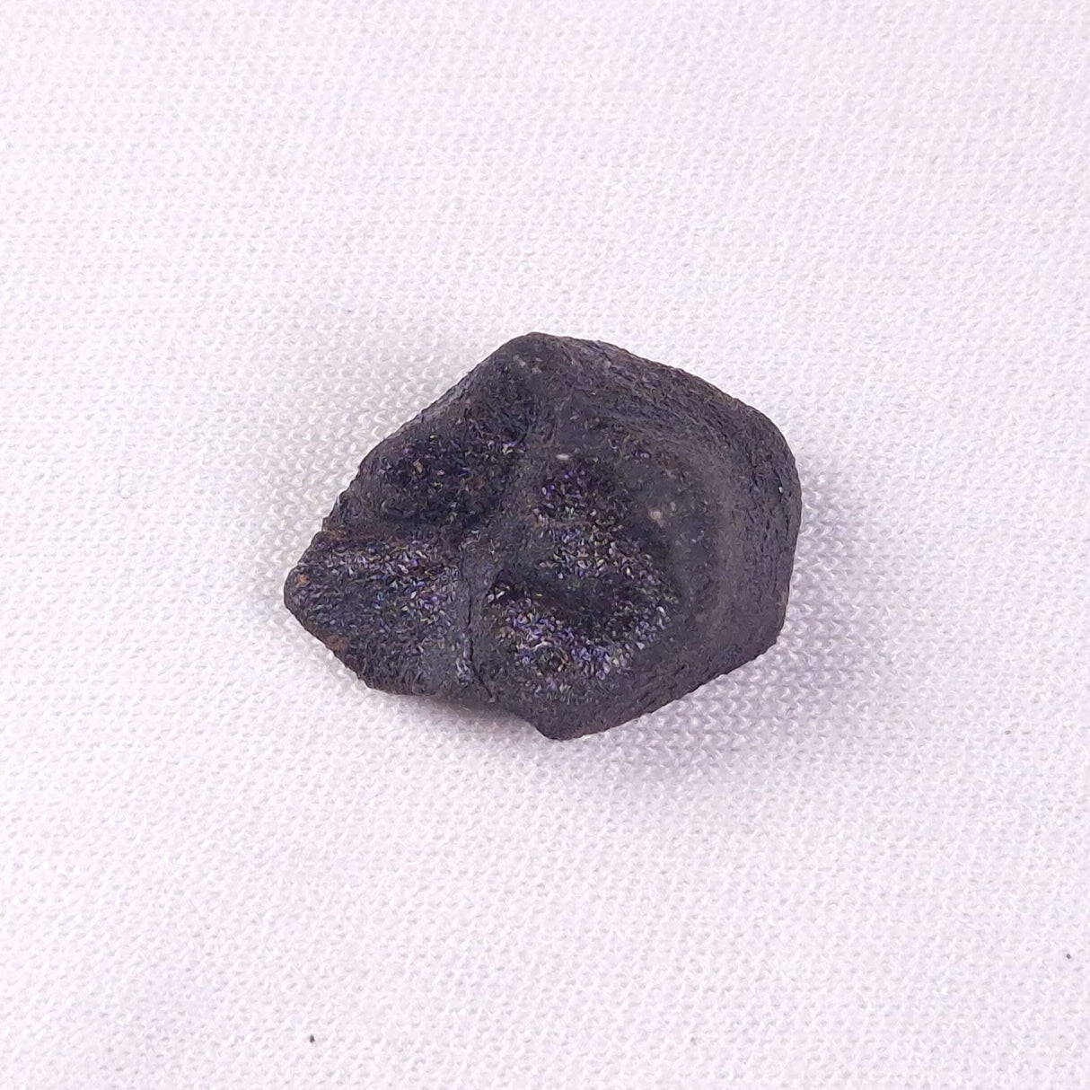 METEORITE CAMEL DONGA, Australia YCD016