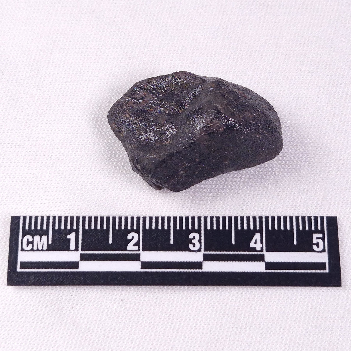 METEORITE CAMEL DONGA, Australia YCD017
