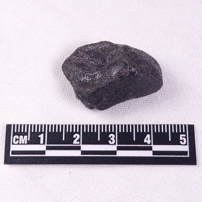 METEORITE CAMEL DONGA, Australia YCD017