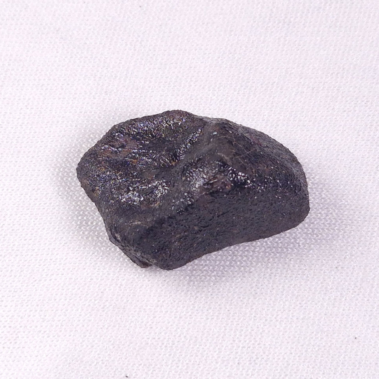 METEORITE CAMEL DONGA, Australia YCD017