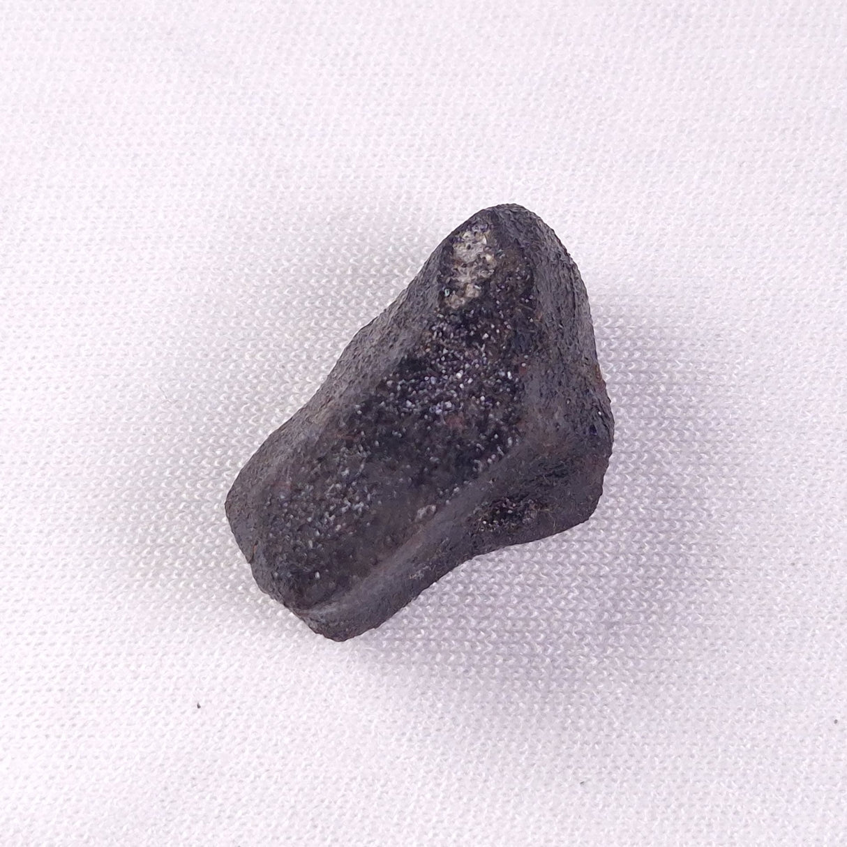METEORITE CAMEL DONGA, Australia YCD017