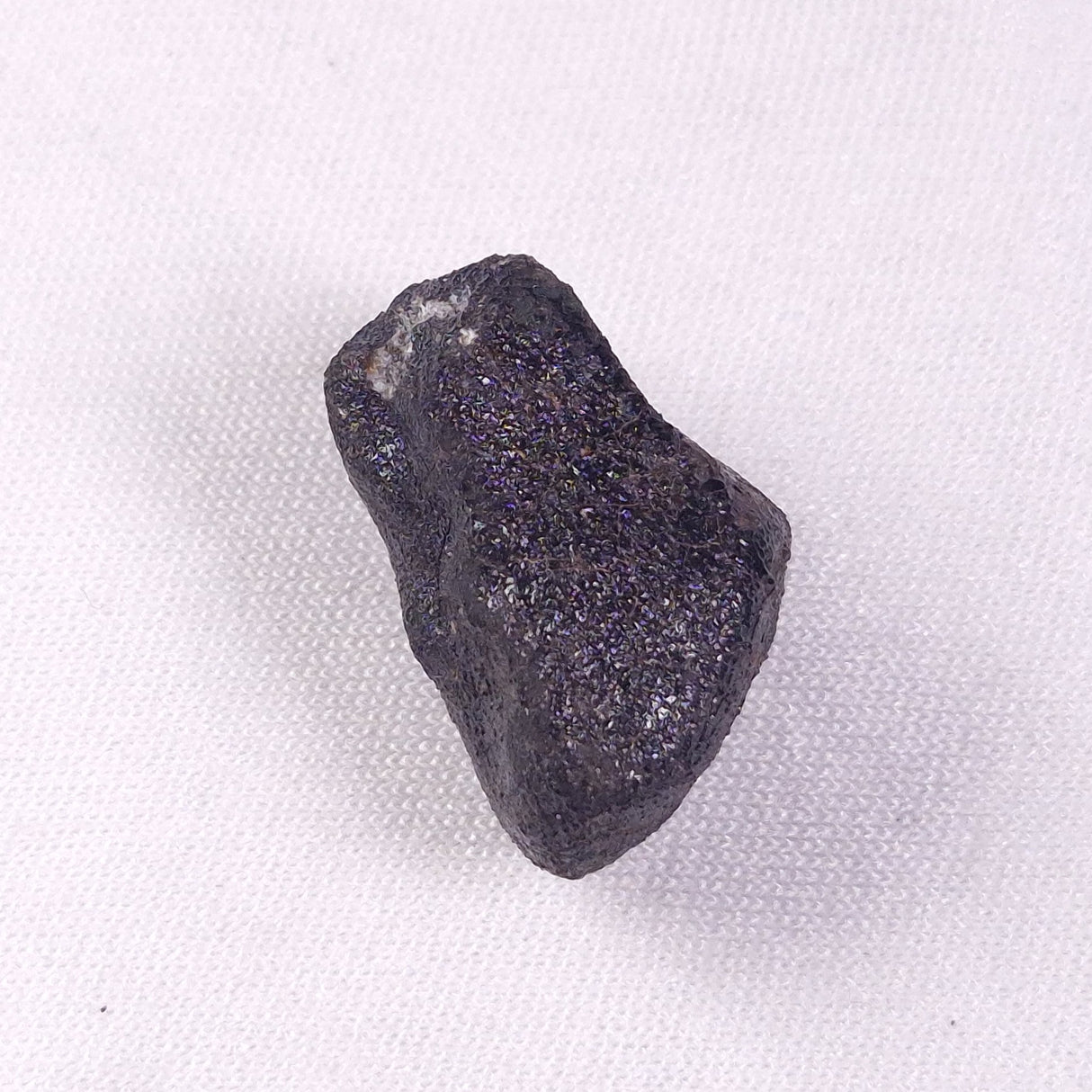 METEORITE CAMEL DONGA, Australia YCD017