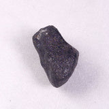 METEORITE CAMEL DONGA, Australia YCD017