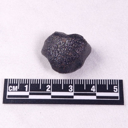 METEORITE CAMEL DONGA, Australia YCD018