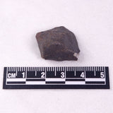 METEORITE CAMEL DONGA, Australia YCD019