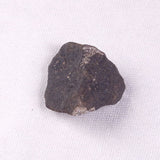 METEORITE CAMEL DONGA, Australia YCD019