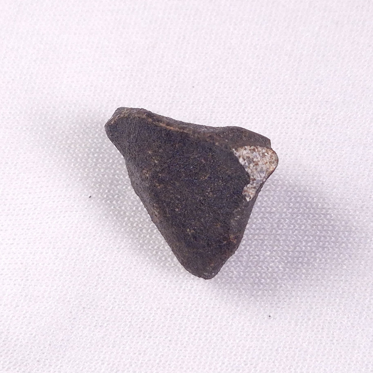 METEORITE CAMEL DONGA, Australia YCD019