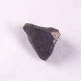 METEORITE CAMEL DONGA, Australia YCD019
