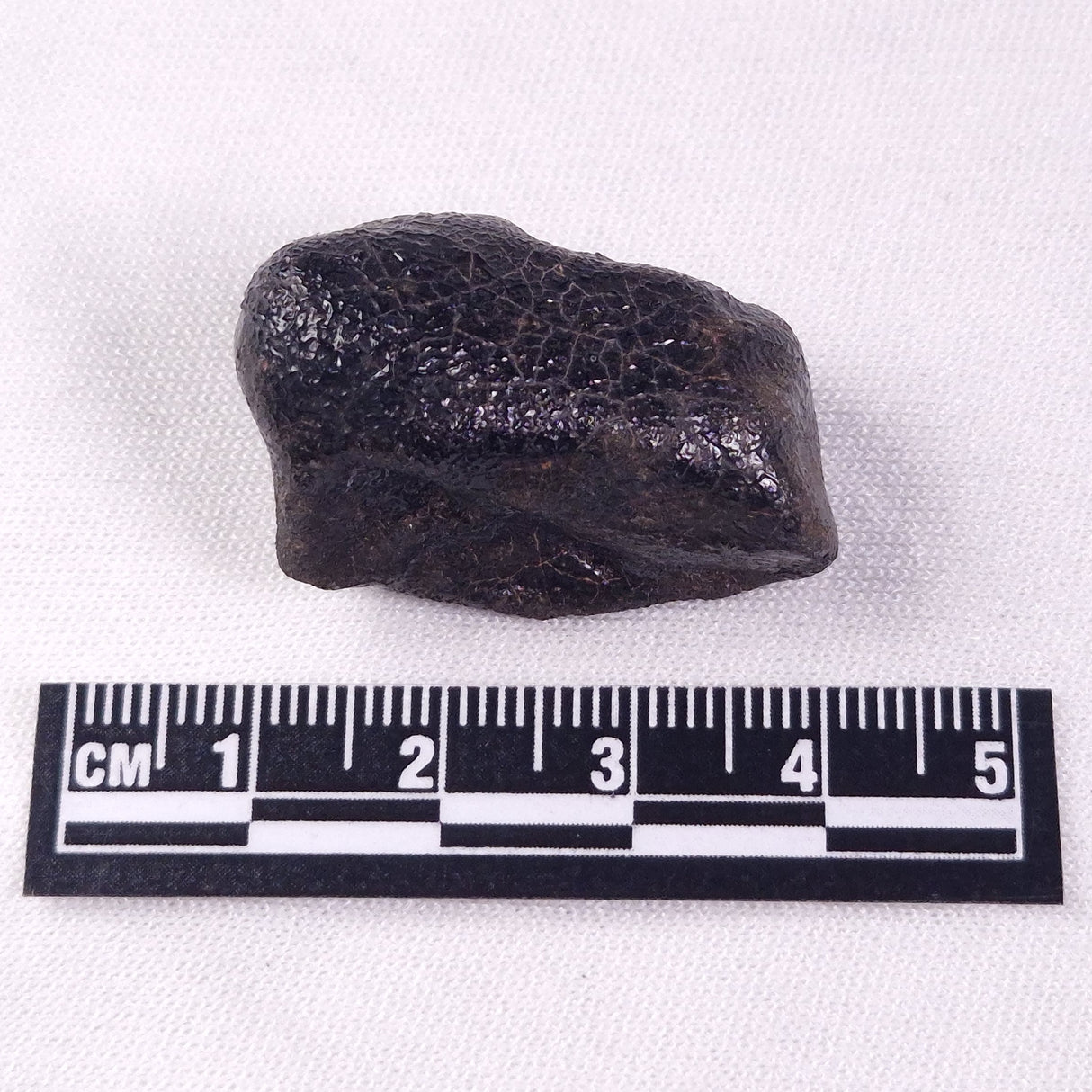 METEORITE CAMEL DONGA, Australia YCD020
