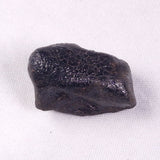 METEORITE CAMEL DONGA, Australia YCD020