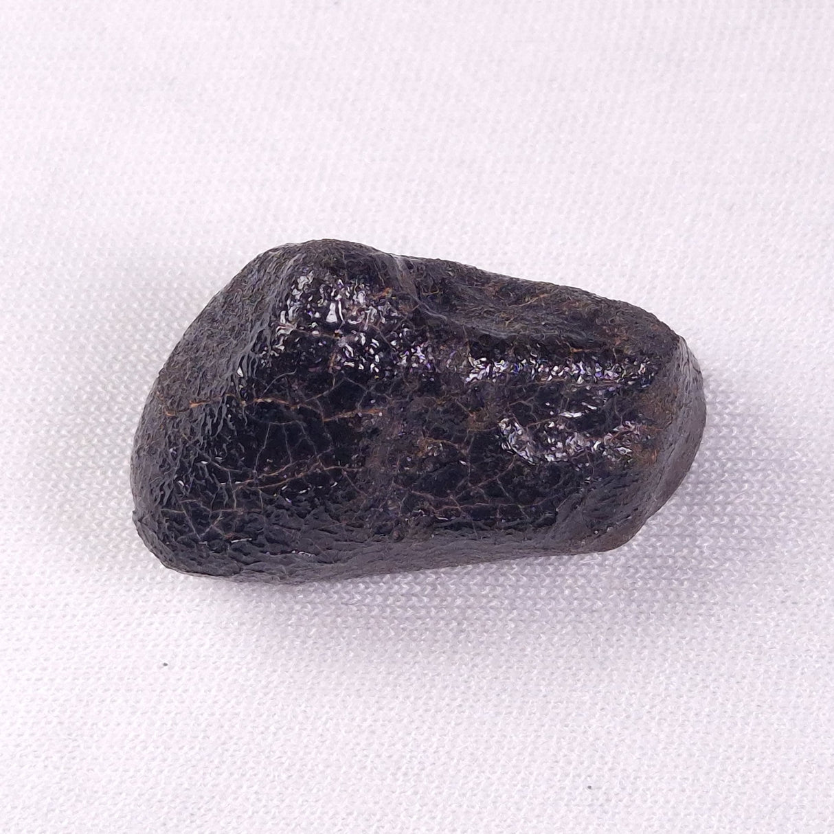 METEORITE CAMEL DONGA, Australia YCD020