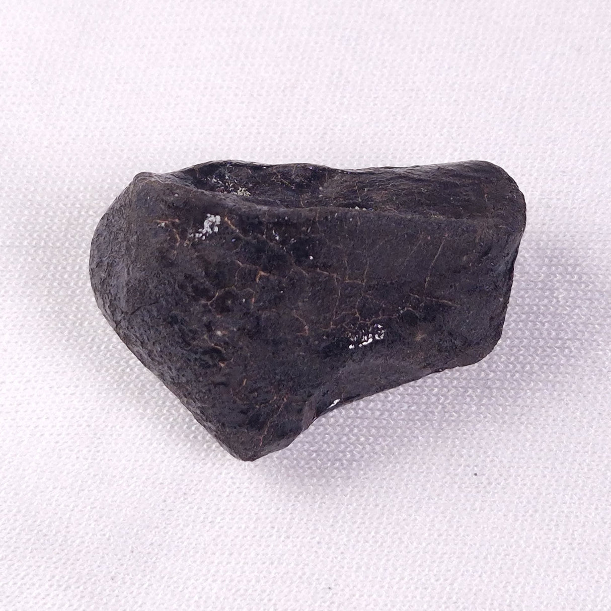 METEORITE CAMEL DONGA, Australia YCD020