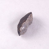 METEORITE CAMEL DONGA, Australia YCD021