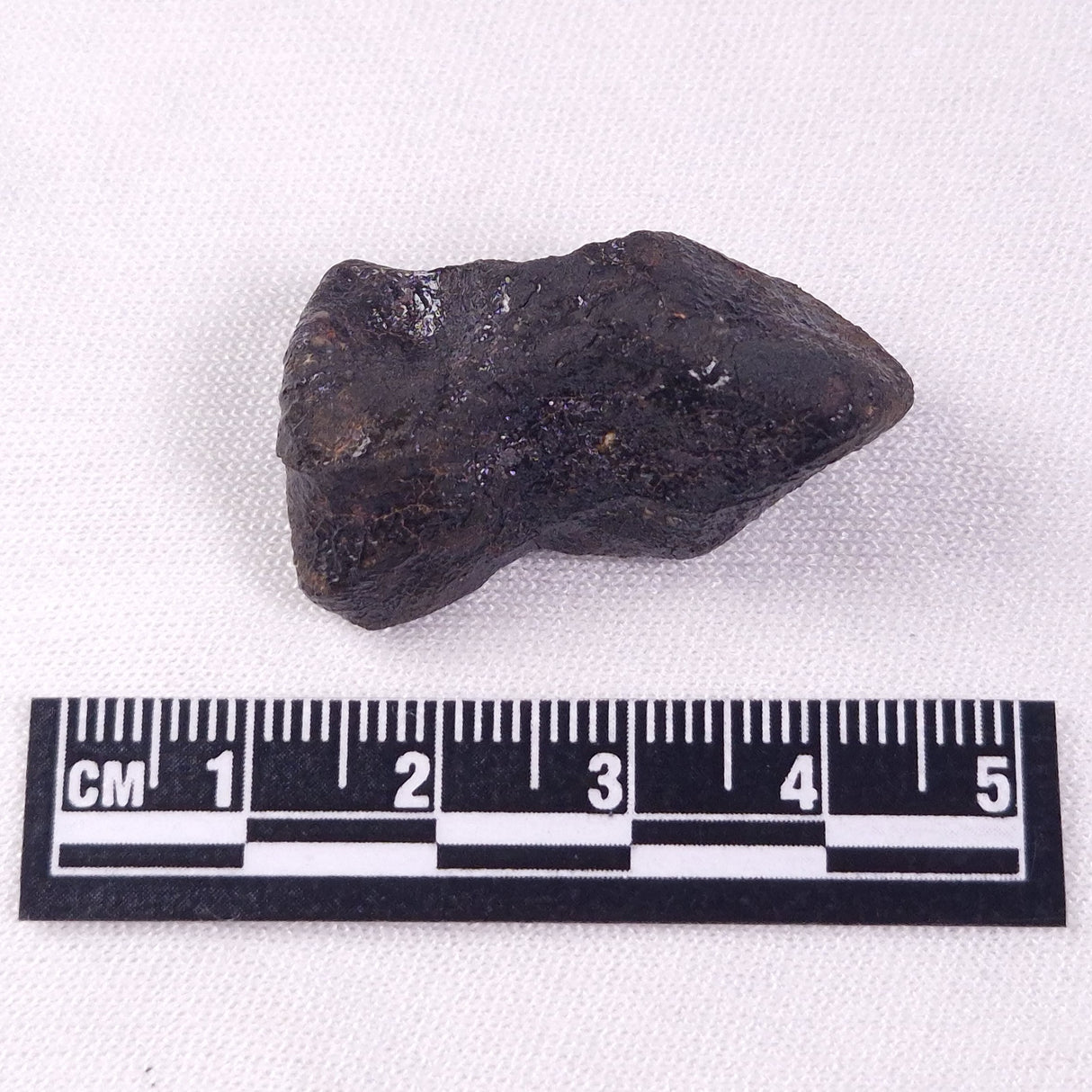 METEORITE CAMEL DONGA, Australia YCD022