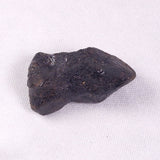 METEORITE CAMEL DONGA, Australia YCD022