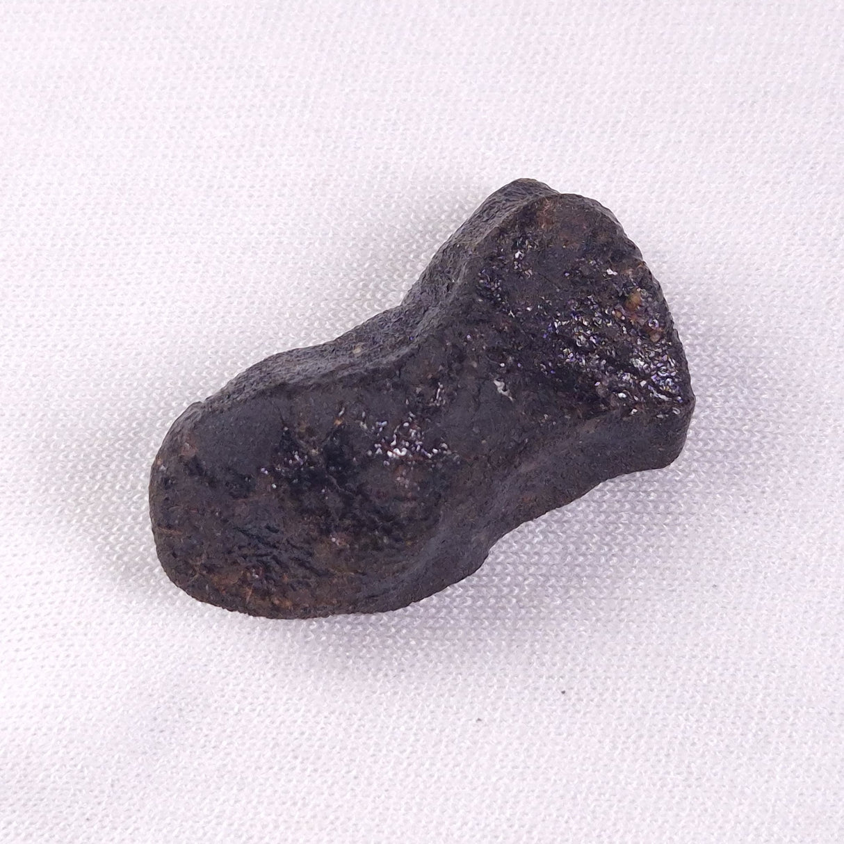 METEORITE CAMEL DONGA, Australia YCD022