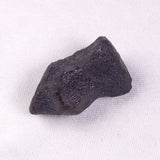 METEORITE CAMEL DONGA, Australia YCD022