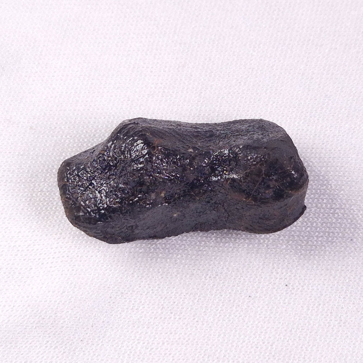 METEORITE CAMEL DONGA, Australia YCD022