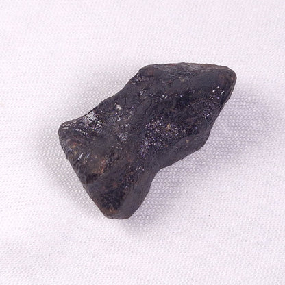 METEORITE CAMEL DONGA, Australia YCD022