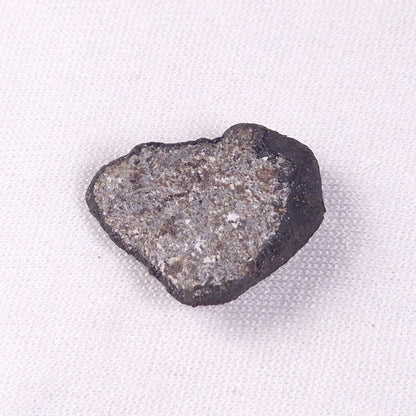 METEORITE CAMEL DONGA, Australia YCD023