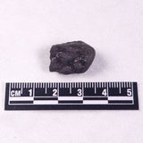 METEORITE CAMEL DONGA, Australia YCD024