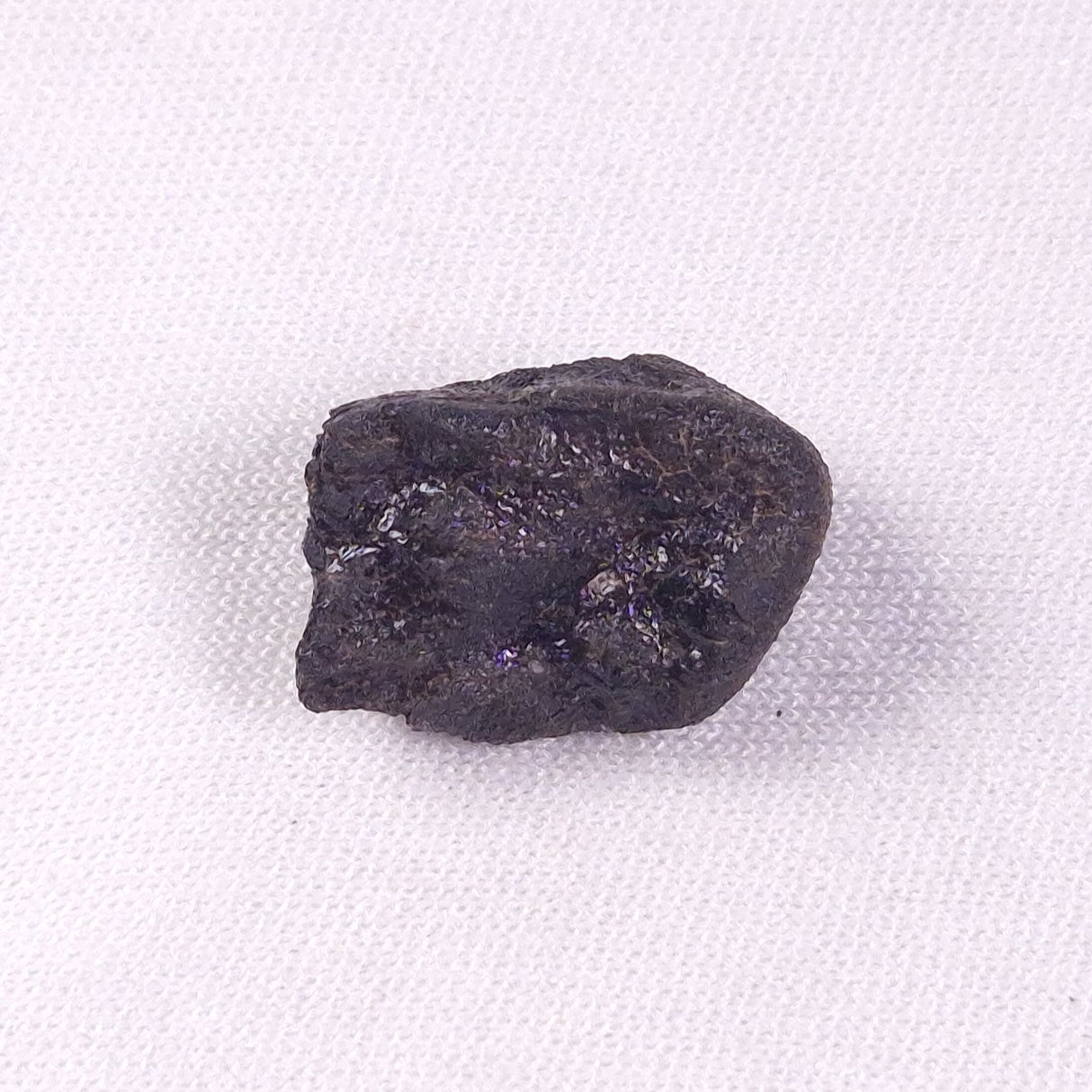 METEORITE CAMEL DONGA, Australia YCD024
