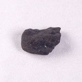 METEORITE CAMEL DONGA, Australia YCD024