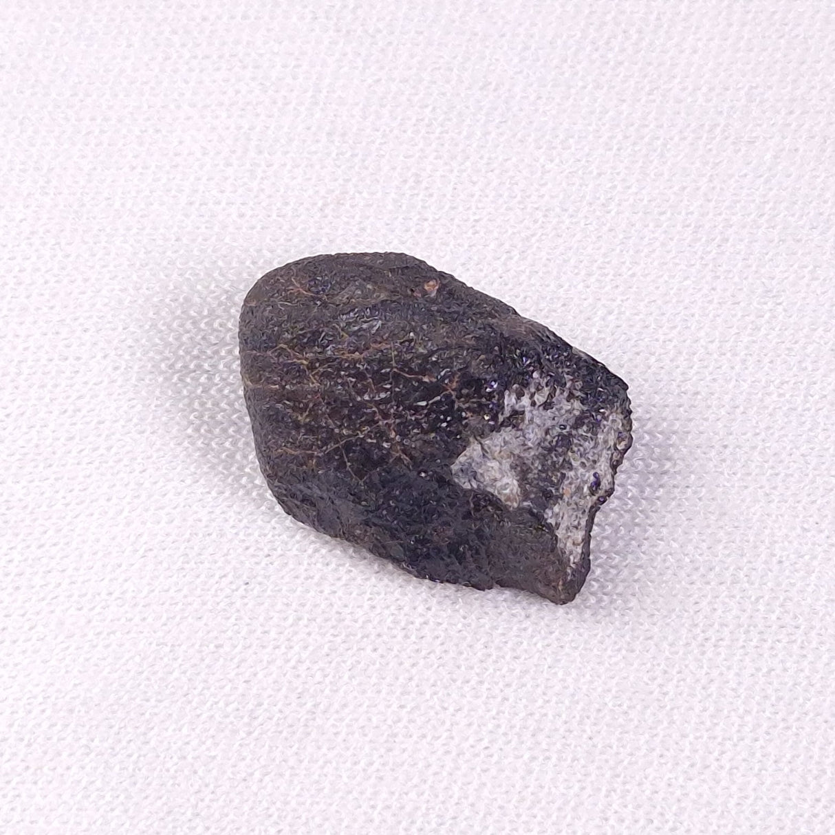 METEORITE CAMEL DONGA, Australia YCD024