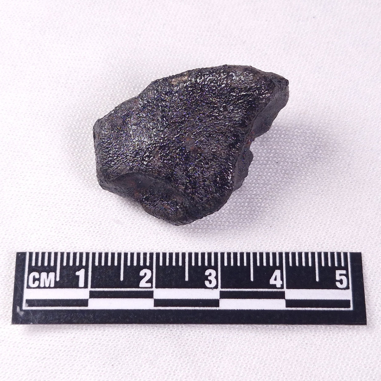 METEORITE CAMEL DONGA, Australia YCD025